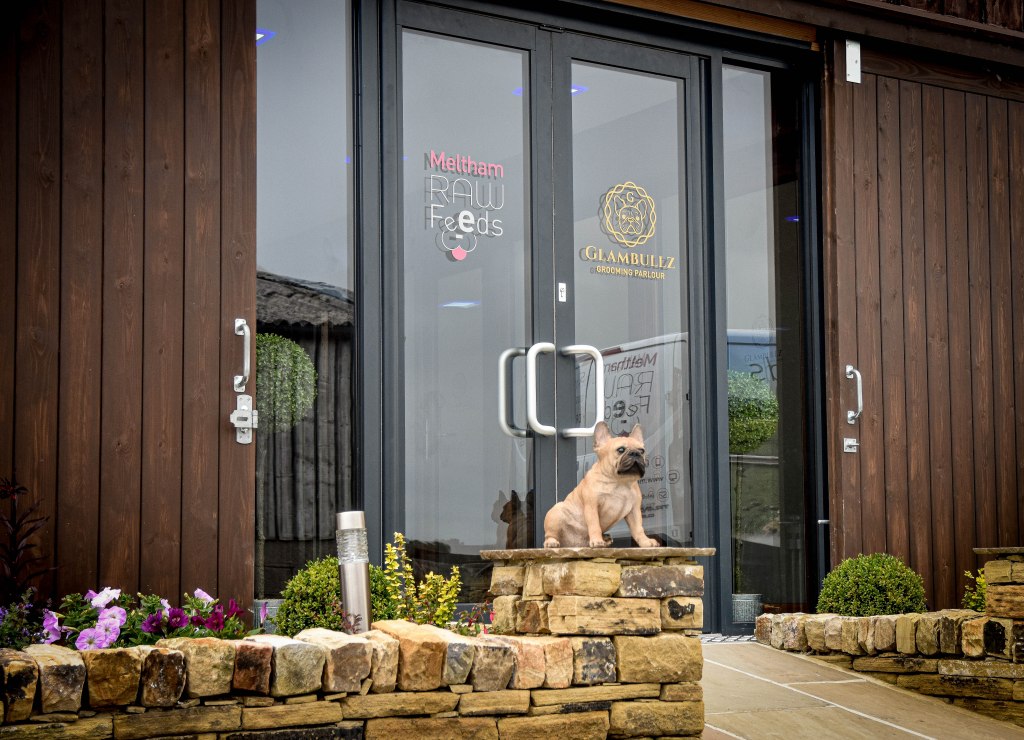 Glambullz French Bulldog Breeder