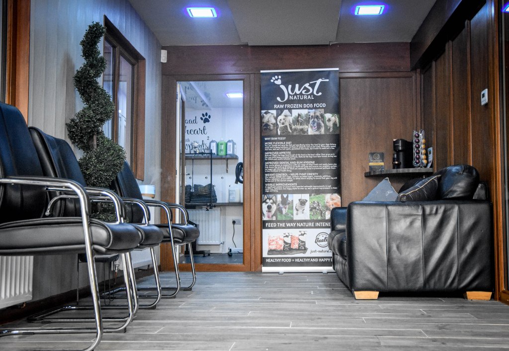 Glambullz Dog Grooming waiting area